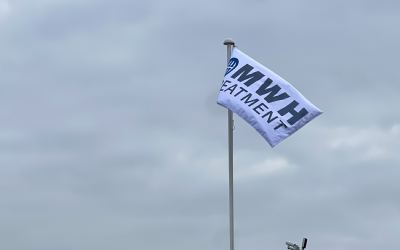 View MWH Treatment Flags